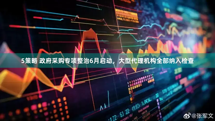 5策略 政府采购专项整治6月启动，大型代理机构全部纳入检查