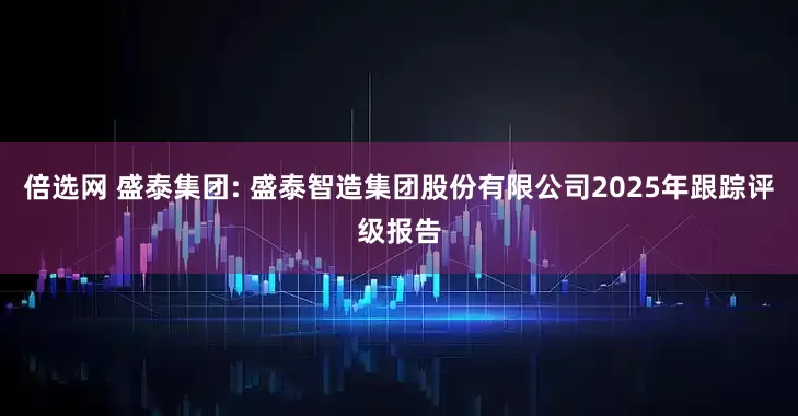 倍选网 盛泰集团: 盛泰智造集团股份有限公司2025年跟踪评级报告