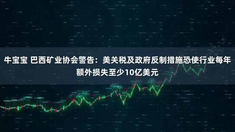 牛宝宝 巴西矿业协会警告：美关税及政府反制措施恐使行业每年额外损失至少10亿美元