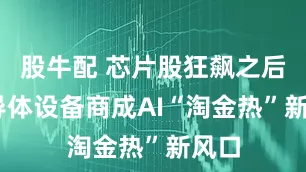 股牛配 芯片股狂飙之后 半导体设备商成AI“淘金热”新风口